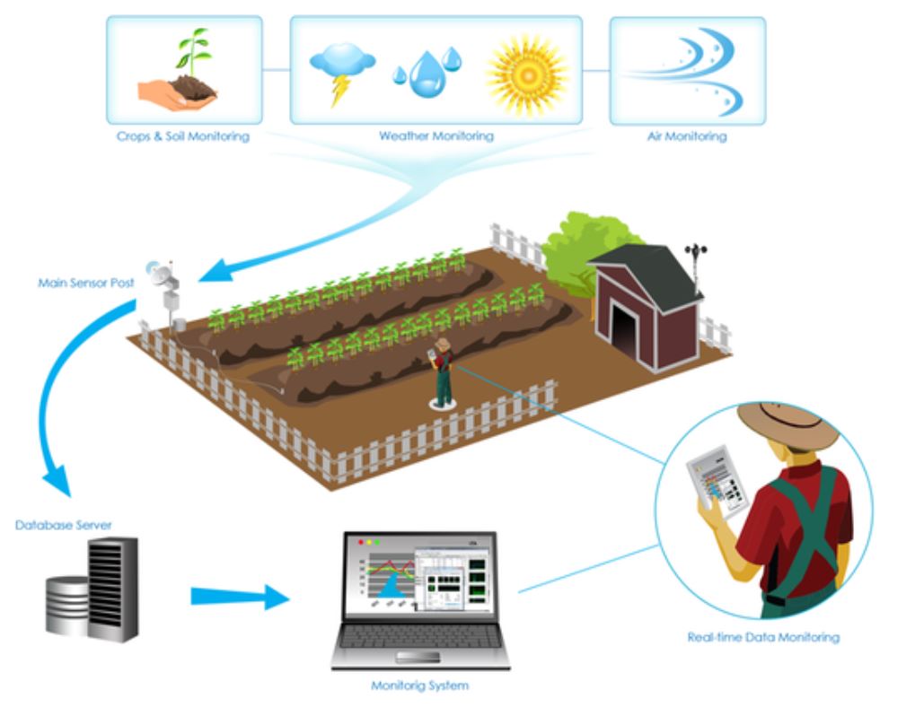 کشاورزی هوشمند و اینترنت اشیا